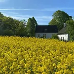 Nyaraló Scenic House With Sea Views In Birkeland