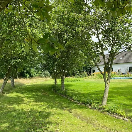 Holiday home Scenic House With Sea Views In Birkeland